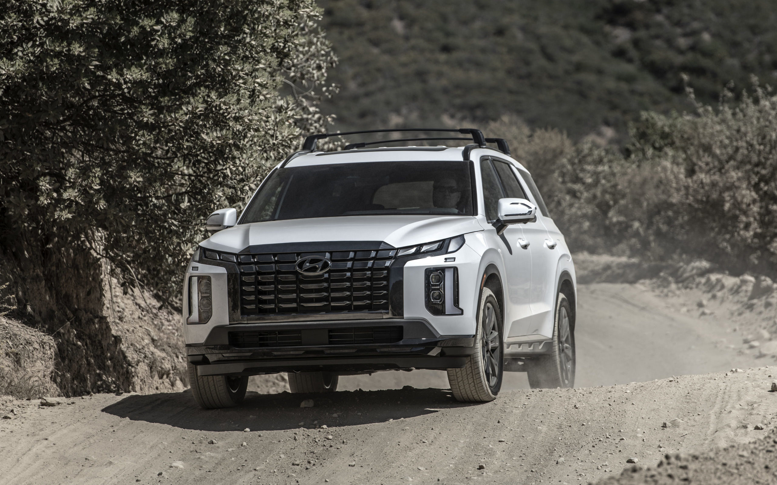 Hyundai Recalls More Than 500,000 Palisade SUVs to Address Seatbelt ...