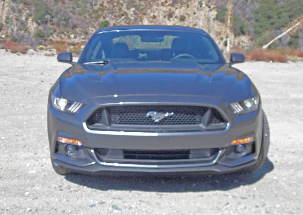 Ford mustang snout #7