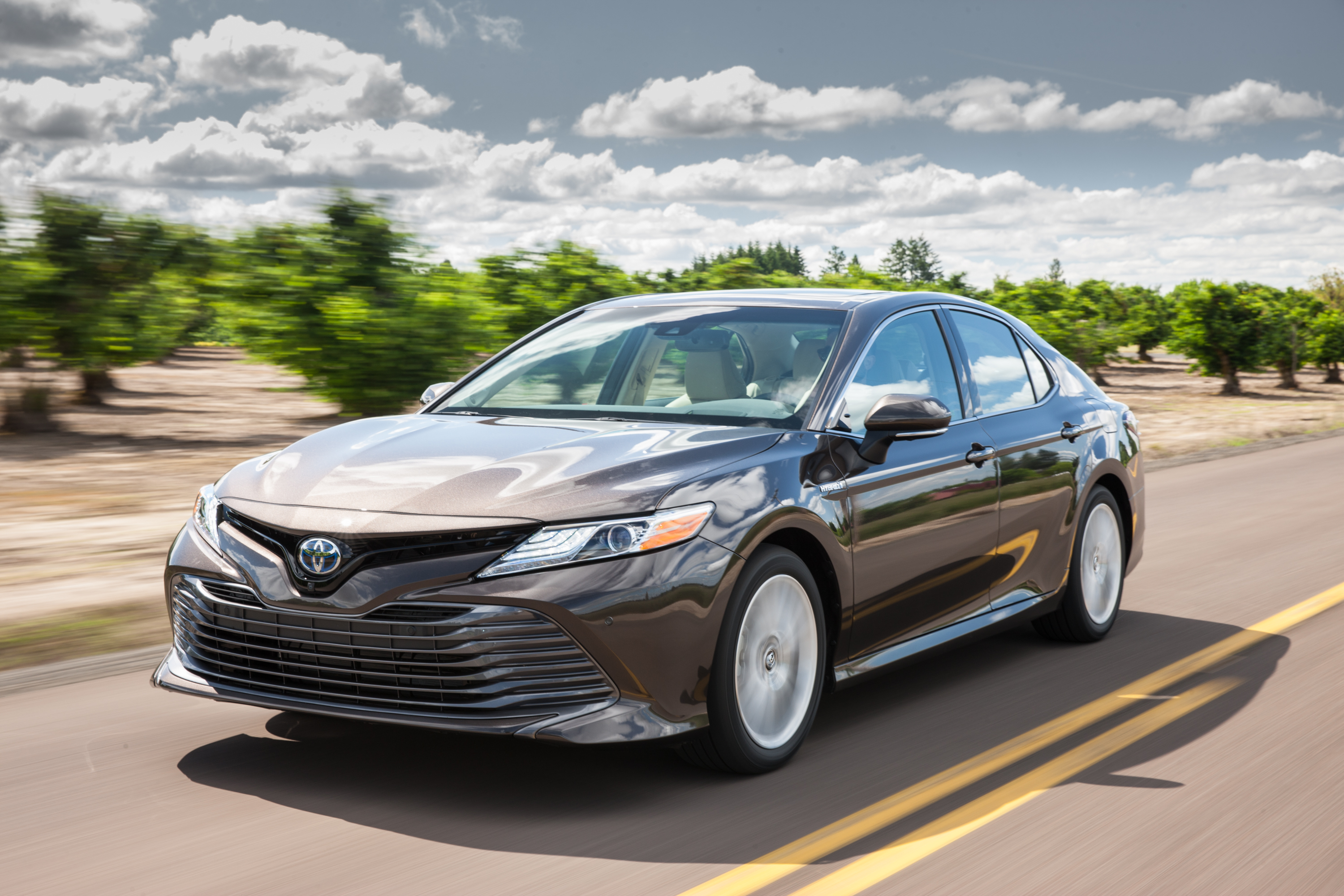 2018 Toyota Camry XLE Hybrid What You Think You Know About