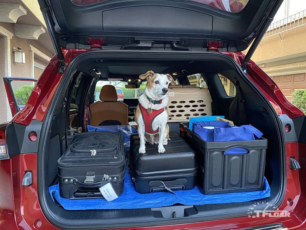 small dog and luggage loaded and ready | 2020 Toyota Highlander Hybrid